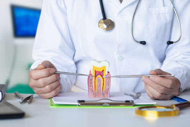 Best Emergency Gum Treatment in Strasburg, VA